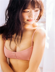 征服在线观看-谍影重重5字幕